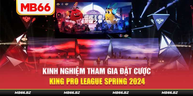 Kinh nghiệm tham gia đặt cược King Pro League Spring 2024&nbsp;