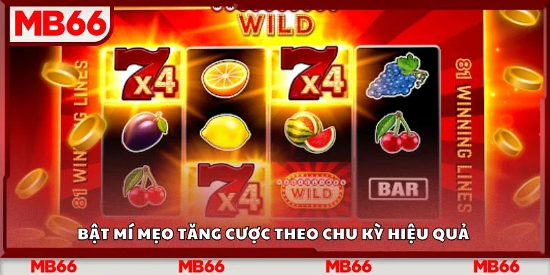 Bật mí mẹo tăng cược theo chu kỳ hiệu quả&nbsp;