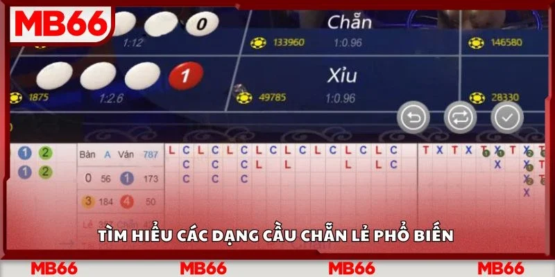 Tìm hiểu các dạng cầu chẵn lẻ phổ biến
